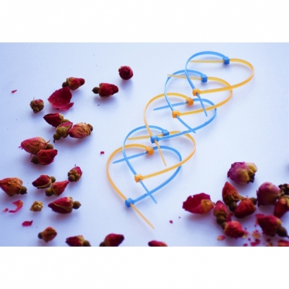 Color cable tie.jpg